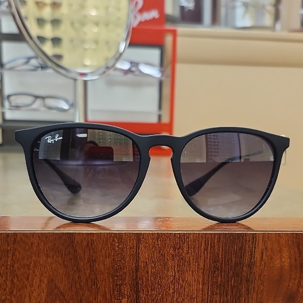 Ray-Ban Matte Black Sunglasses